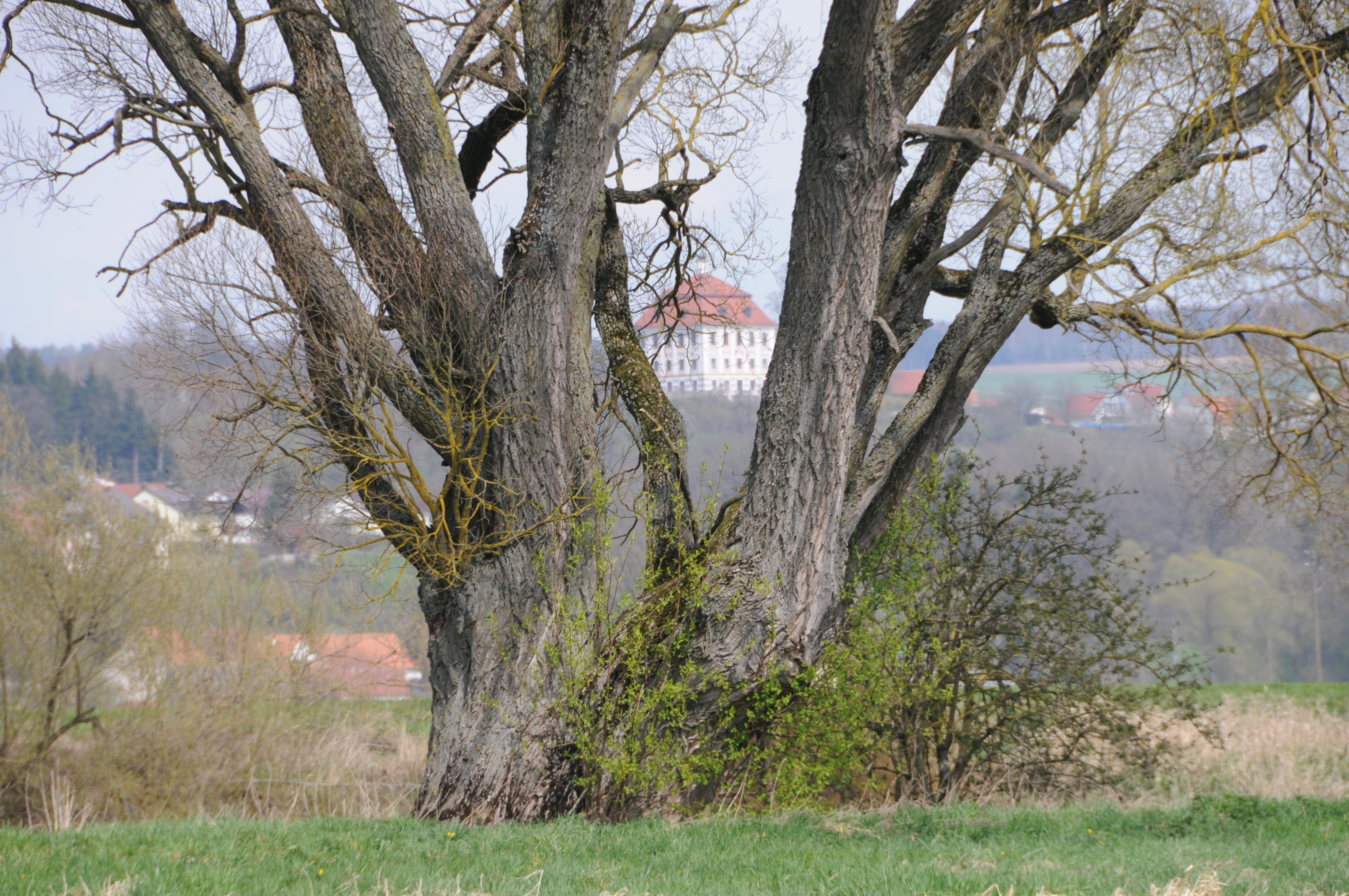 An der Donau mit Blick auf Schloss Leitheim